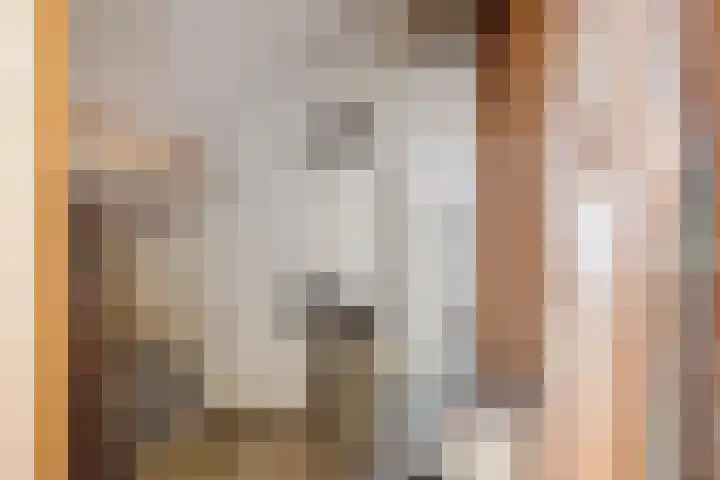 Klaroenring 175 Etten-Leur thumbnail 25