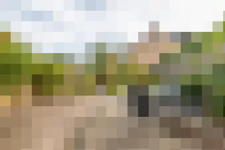 Klaroenring 175 Etten-Leur thumbnail 29