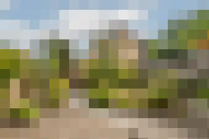 Klaroenring 175 Etten-Leur thumbnail 31