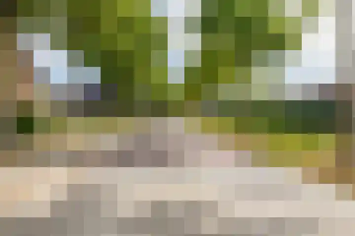Klaroenring 175 Etten-Leur thumbnail 35