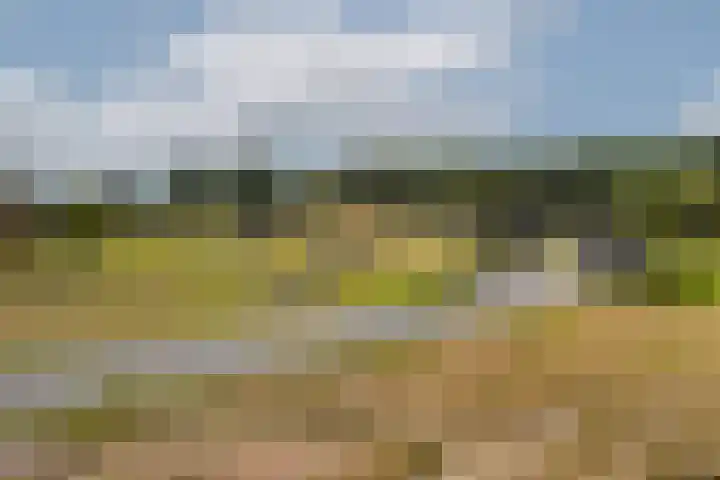 Klaroenring 175 Etten-Leur thumbnail 37