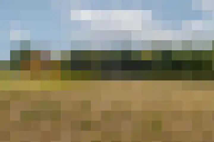Klaroenring 175 Etten-Leur thumbnail 38