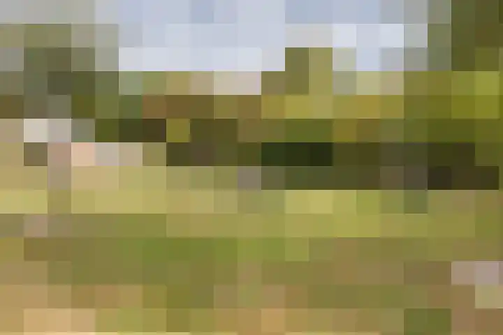 Klaroenring 175 Etten-Leur thumbnail 39