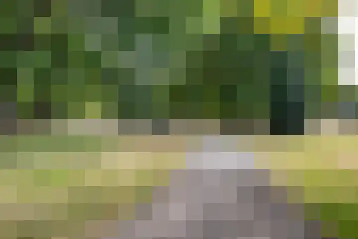 Klaroenring 175 Etten-Leur thumbnail 41