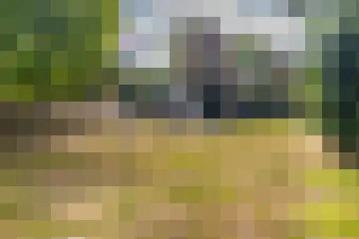 Klaroenring 175 Etten-Leur thumbnail 42