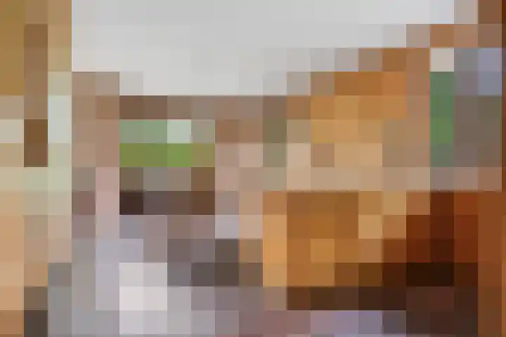 Klaroenring 99 Etten-Leur thumbnail 12