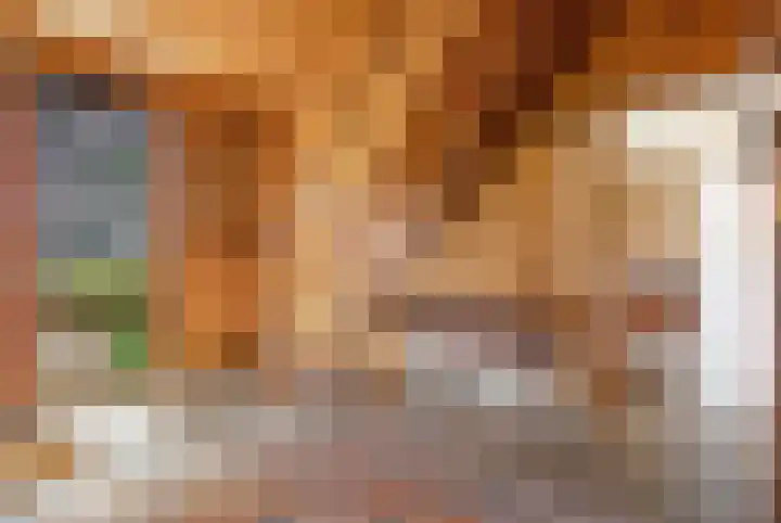Klaroenring 99 Etten-Leur thumbnail 14