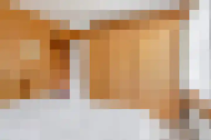Klaroenring 99 Etten-Leur thumbnail 17