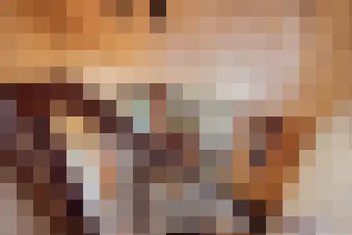 Klaroenring 99 Etten-Leur thumbnail 23