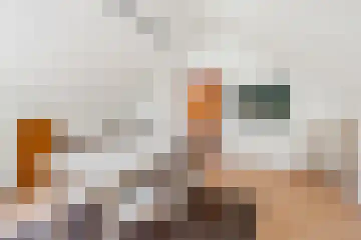 Klaroenring 99 Etten-Leur thumbnail 27