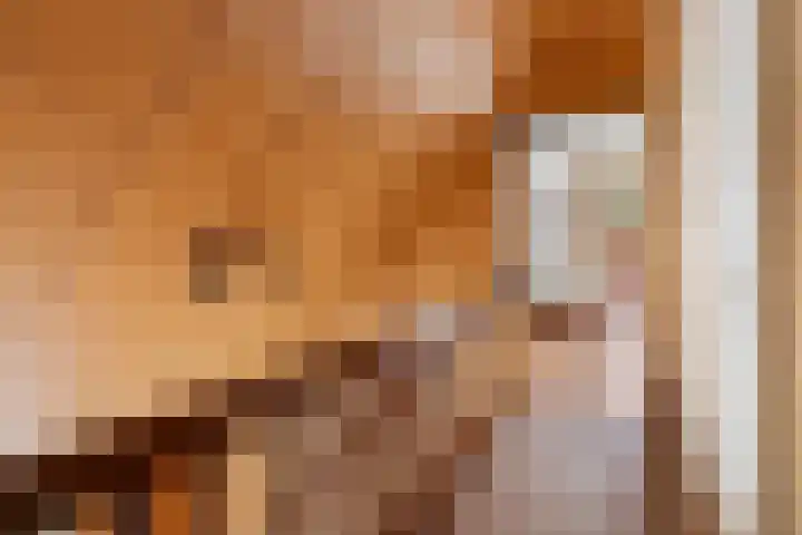 Klaroenring 99 Etten-Leur thumbnail 28