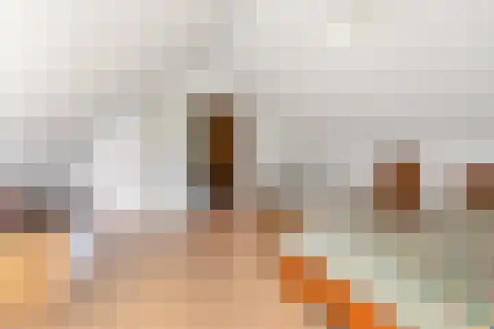 Klaroenring 99 Etten-Leur thumbnail 30