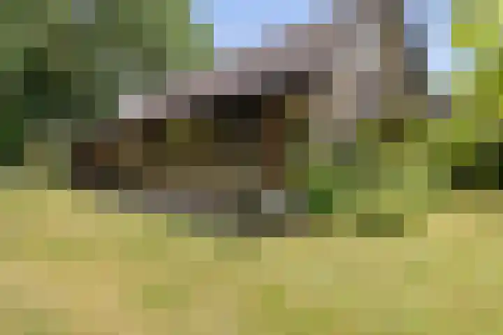 Klaroenring 99 Etten-Leur thumbnail 36