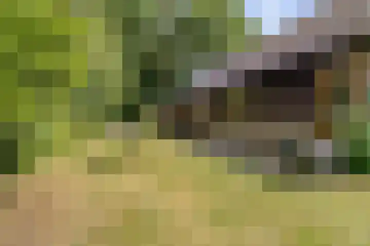 Klaroenring 99 Etten-Leur thumbnail 37