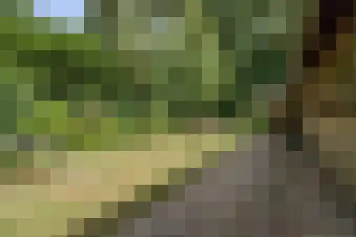 Klaroenring 99 Etten-Leur thumbnail 38