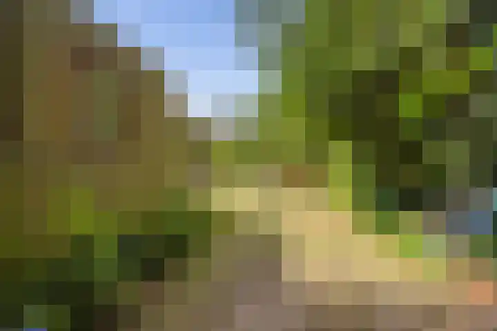 Klaroenring 99 Etten-Leur thumbnail 39