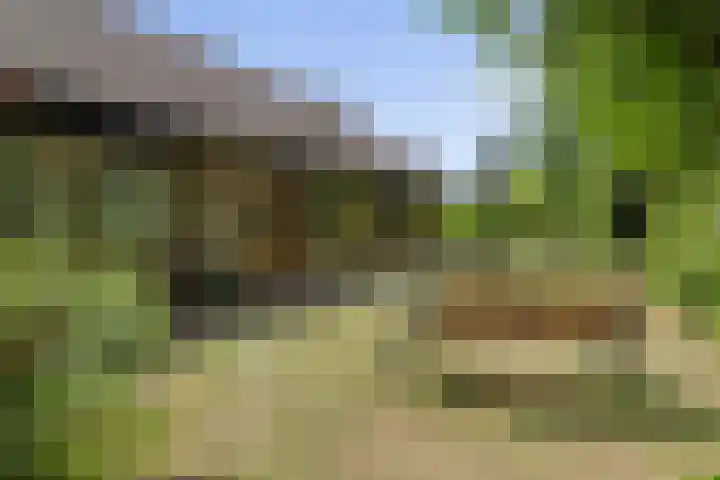 Klaroenring 99 Etten-Leur thumbnail 40