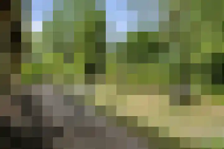 Klaroenring 99 Etten-Leur thumbnail 41