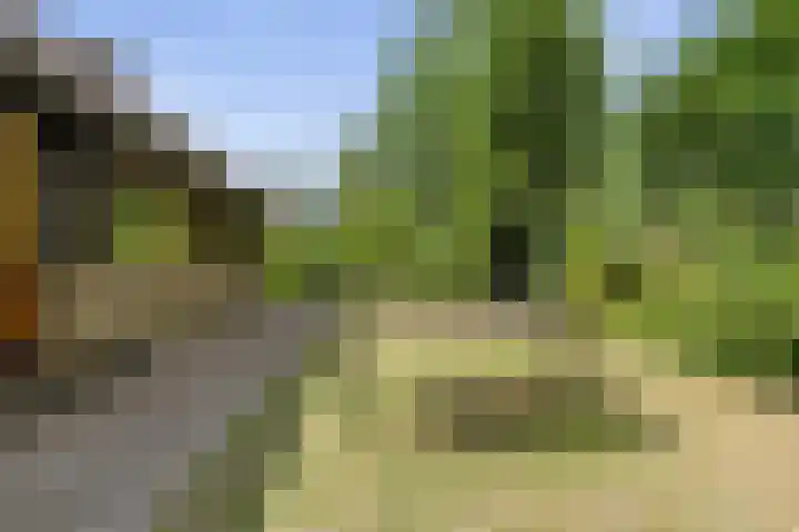 Klaroenring 99 Etten-Leur thumbnail 42