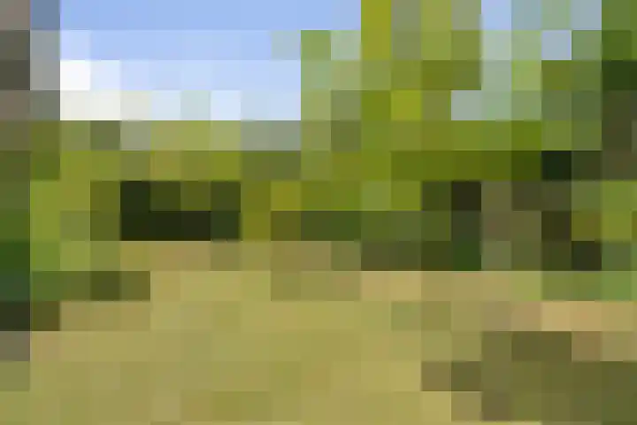 Klaroenring 99 Etten-Leur thumbnail 43