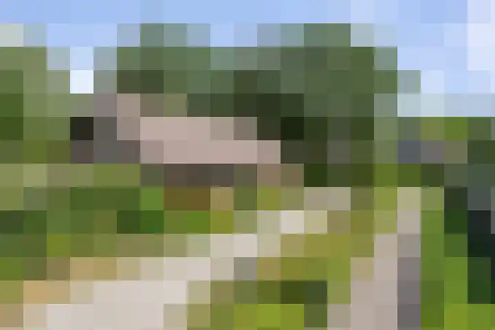 Klaroenring 99 Etten-Leur thumbnail 44
