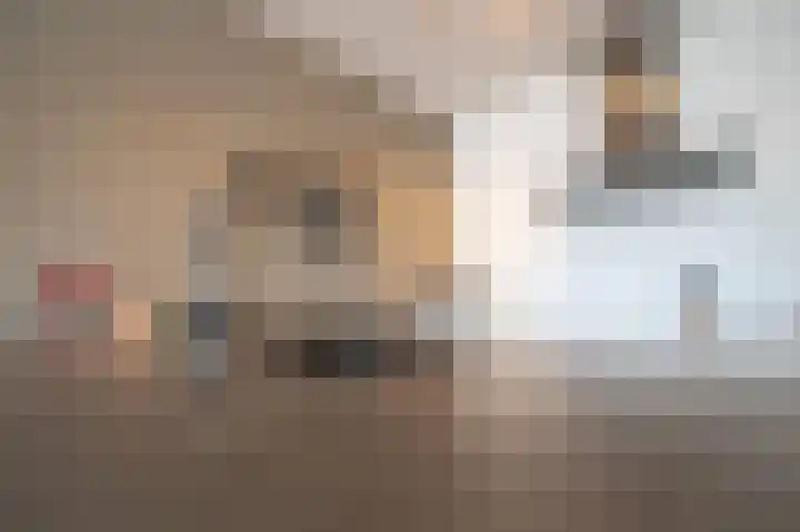 Klaroenstraat 239 Rijswijk thumbnail 11