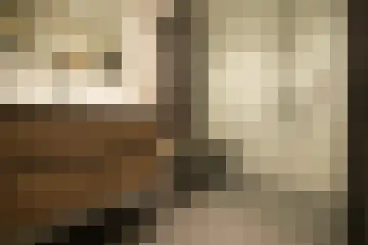 Klaroenstraat 239 Rijswijk thumbnail 17