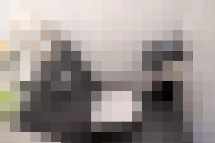 Klaroenstraat 239 Rijswijk thumbnail 22