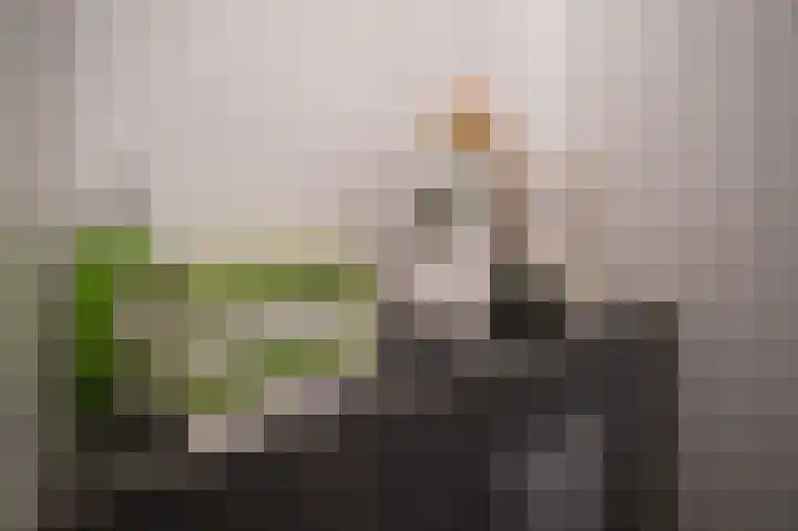 Klaroenstraat 239 Rijswijk thumbnail 23