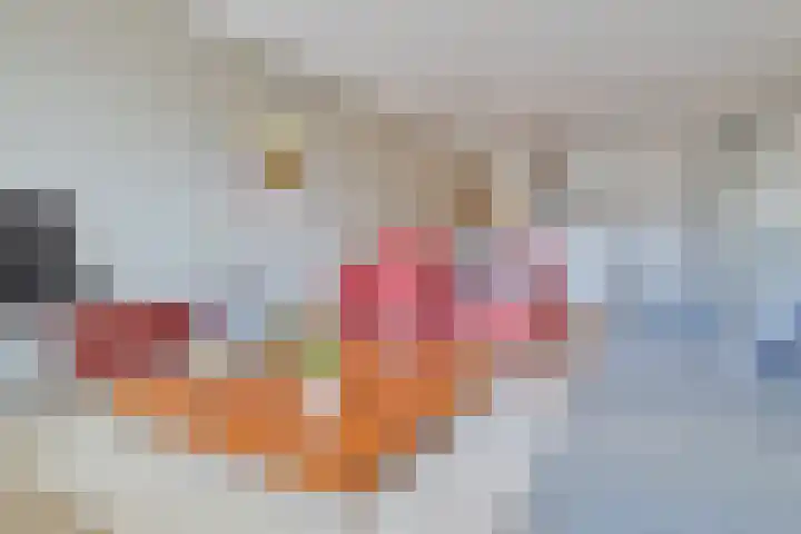 Klaroenstraat 239 Rijswijk thumbnail 7