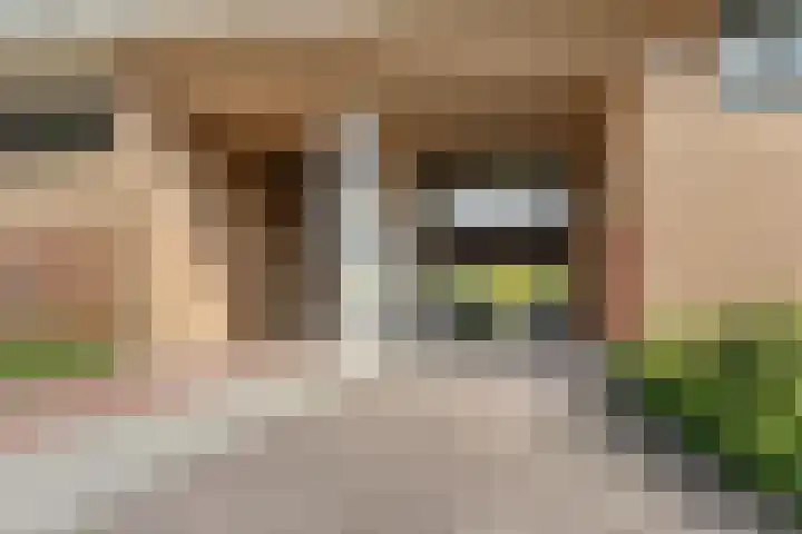 Klaroenstraat 253 Rijswijk thumbnail 29