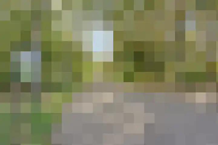 Klaroenstraat 253 Rijswijk thumbnail 30