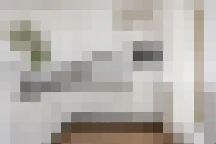 Klaroenstraat 253 Rijswijk thumbnail 4