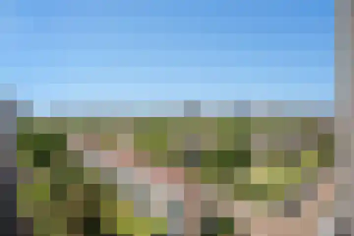 Klaroenstraat 303 Rijswijk thumbnail 23