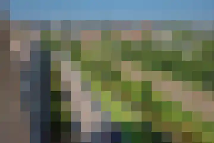 Klaroenstraat 303 Rijswijk thumbnail 26