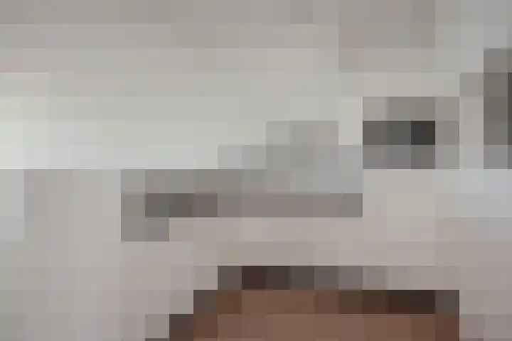 Klaroenstraat 303 Rijswijk thumbnail 9