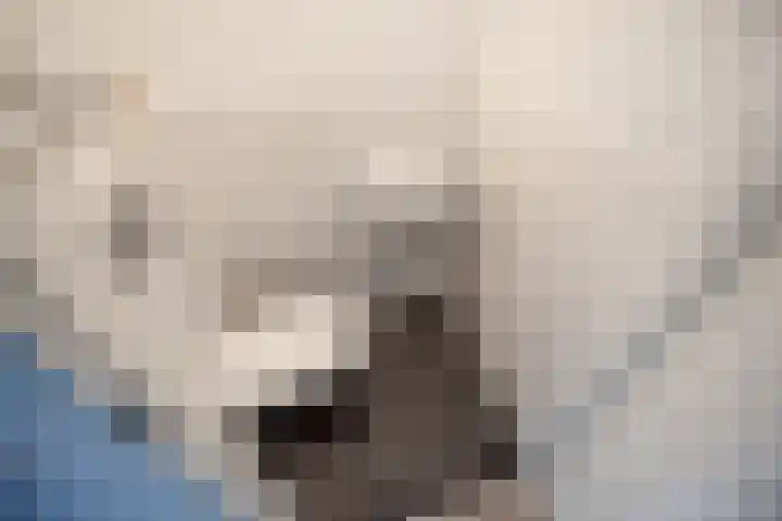 Klaroenstraat 327 Rijswijk thumbnail 17