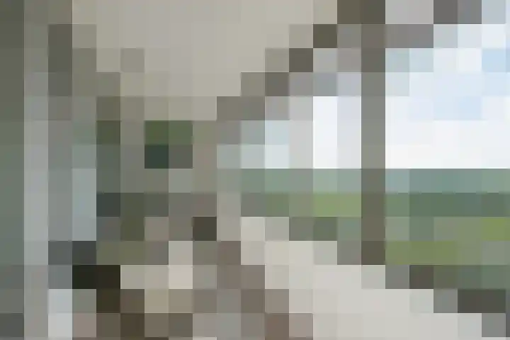 Klaroenstraat 327 Rijswijk thumbnail 20