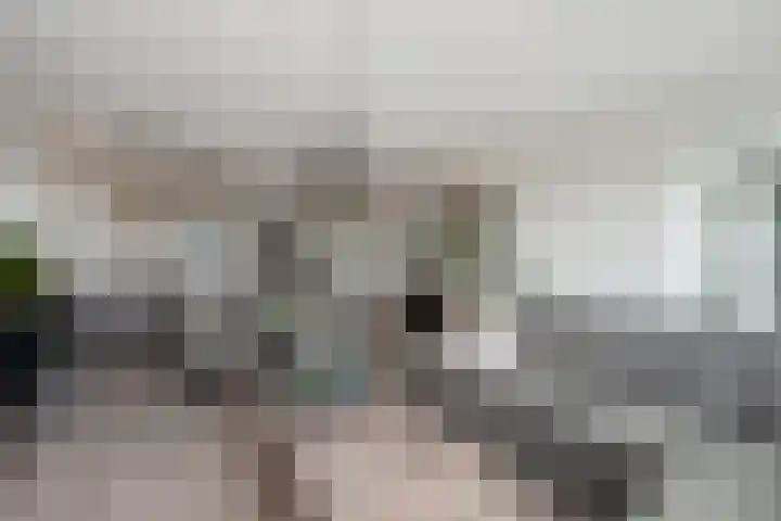 Klaroenstraat 327 Rijswijk thumbnail 6