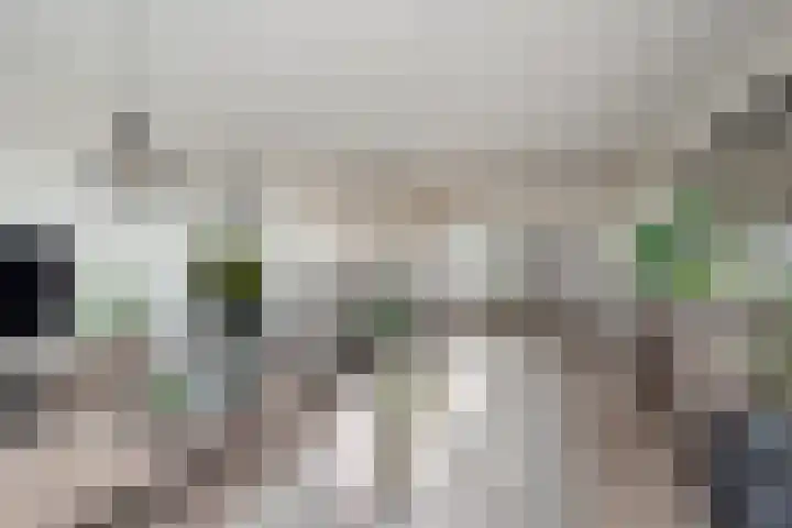 Klaroenstraat 327 Rijswijk thumbnail 8
