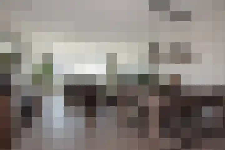 Klaroenstraat 327 Rijswijk thumbnail 9