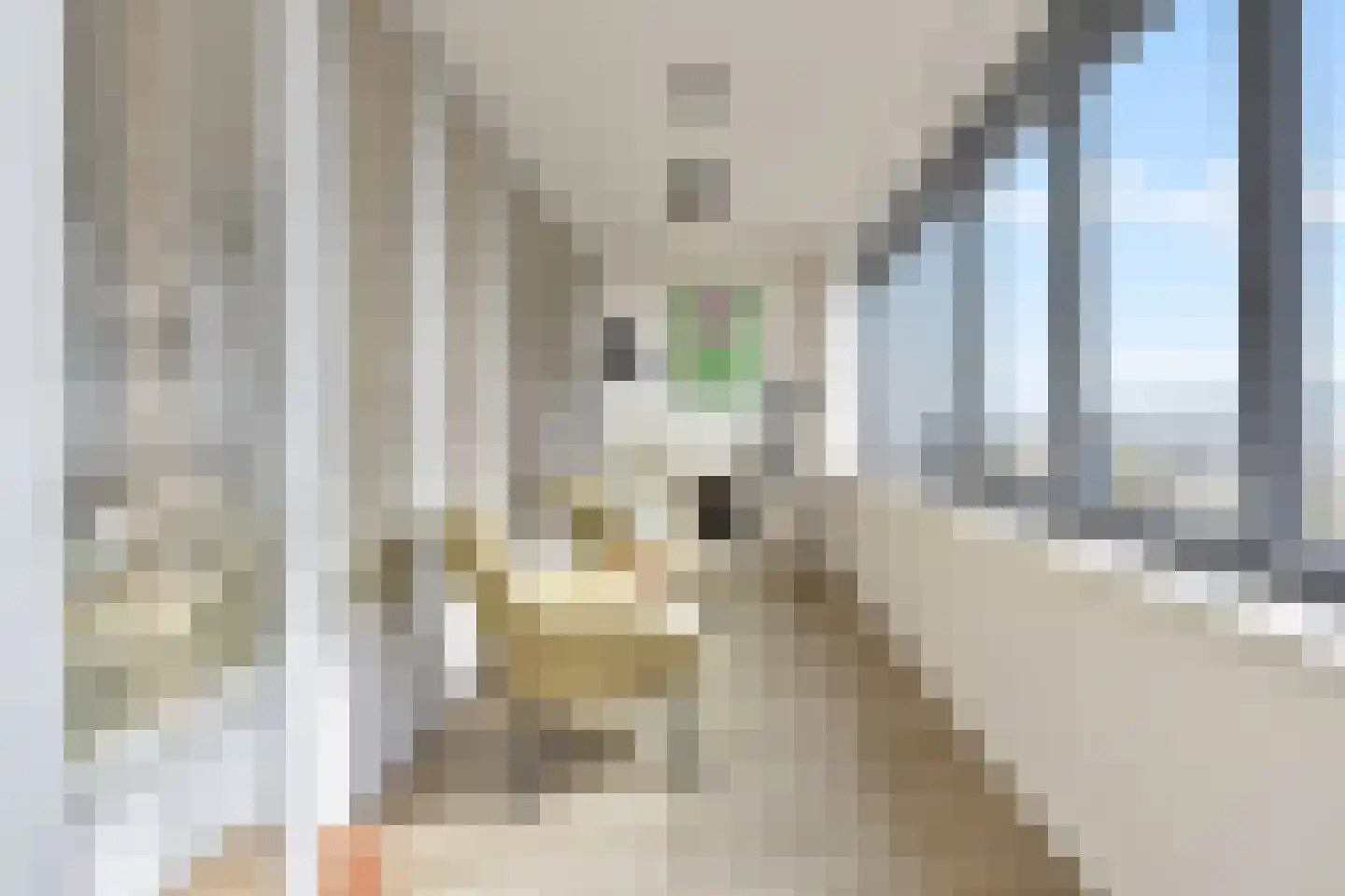 Klaroenstraat 385 Rijswijk thumbnail 11
