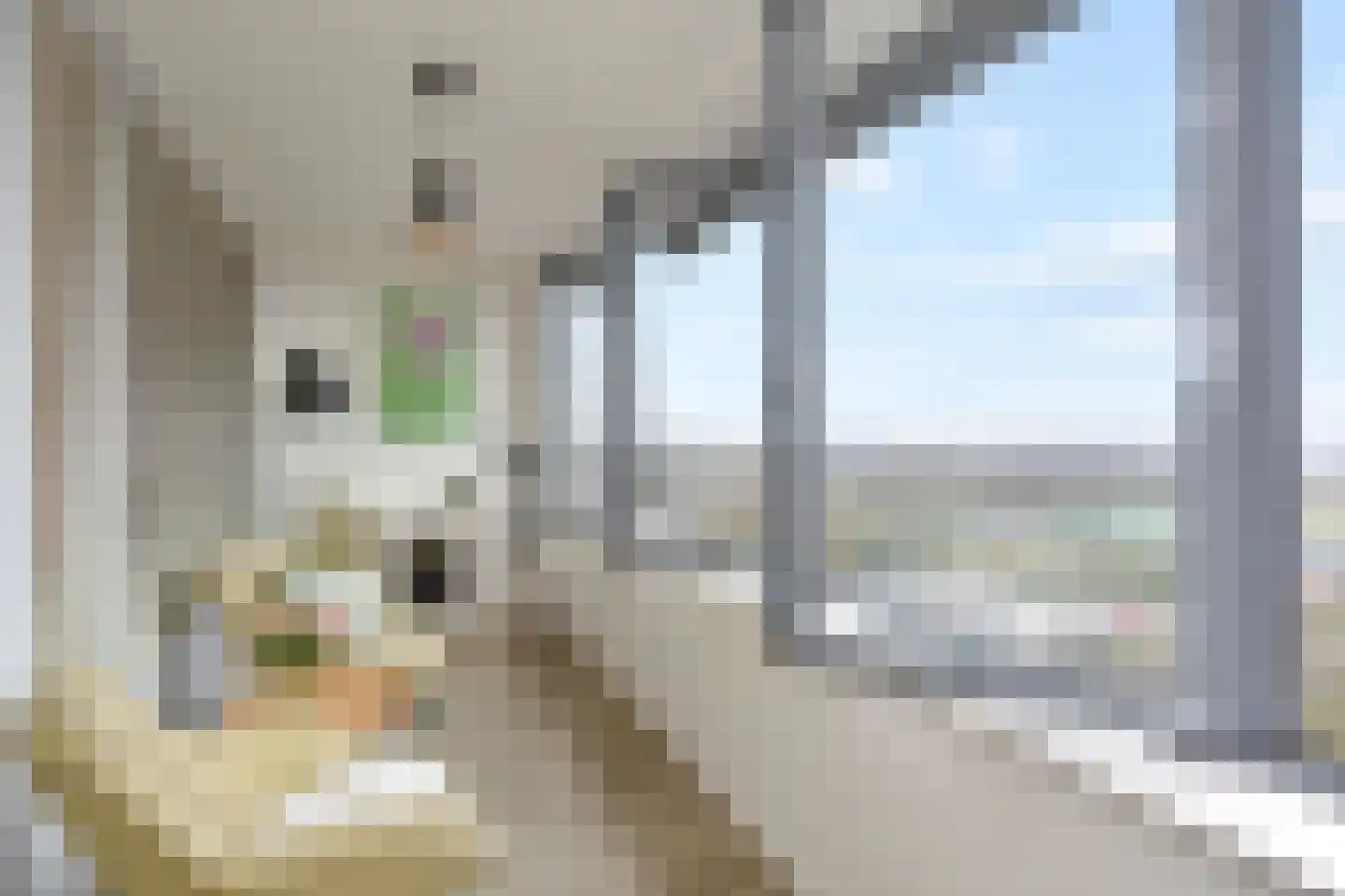 Klaroenstraat 385 Rijswijk thumbnail 13