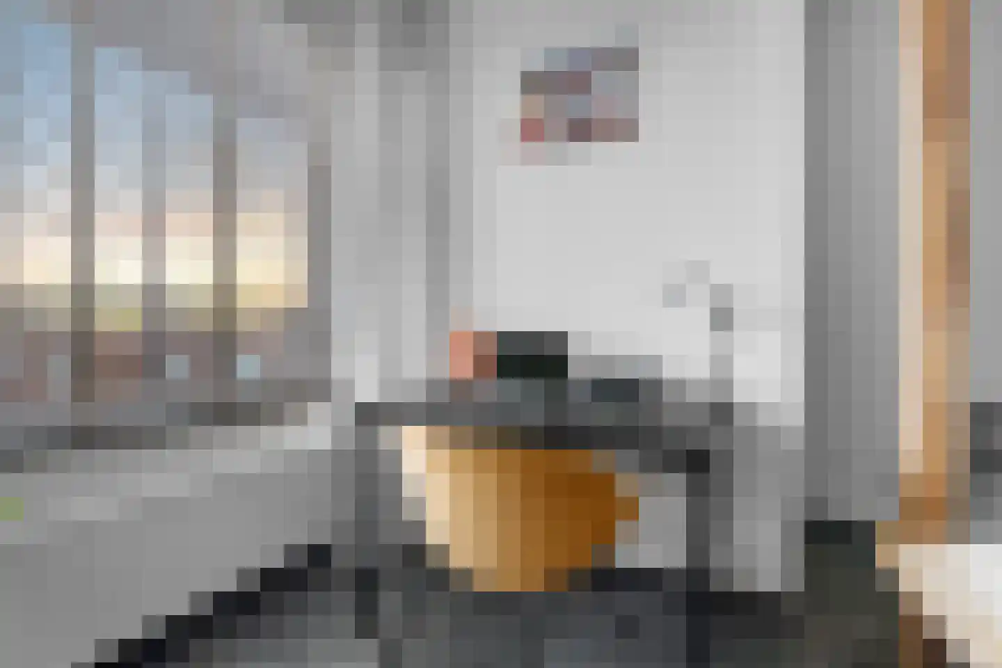 Klaroenstraat 48 Amsterdam thumbnail 21