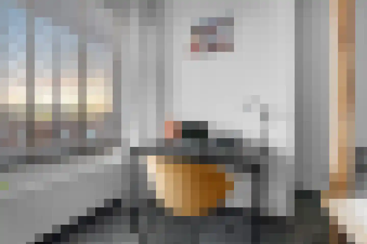 Klaroenstraat 48 Amsterdam thumbnail 21