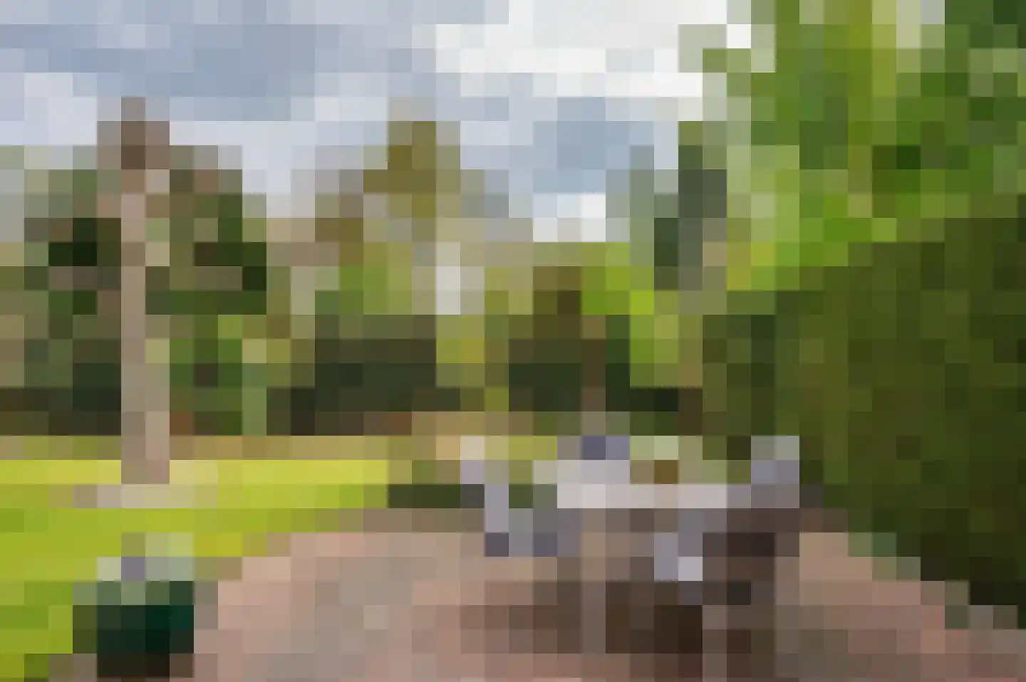 Klassenweg 18 Sevenum thumbnail 43