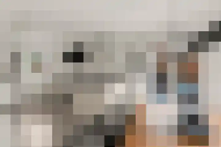 Klaterbos 10 Hoofddorp thumbnail 10
