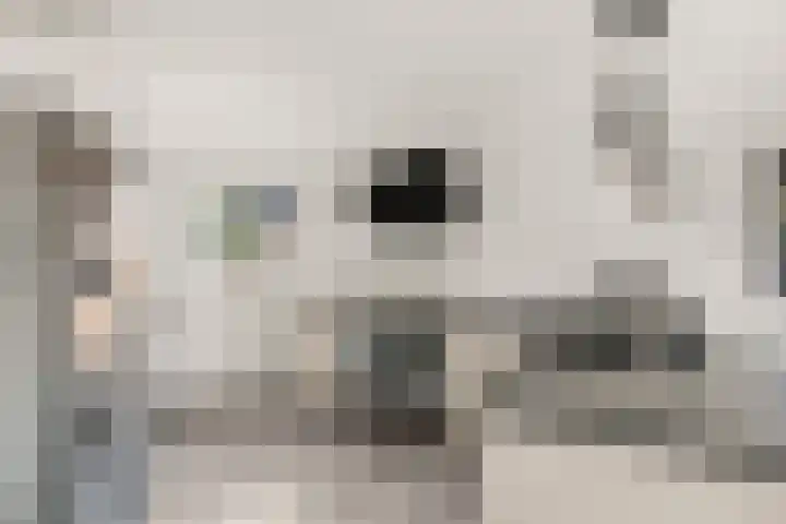 Klaterbos 10 Hoofddorp thumbnail 11