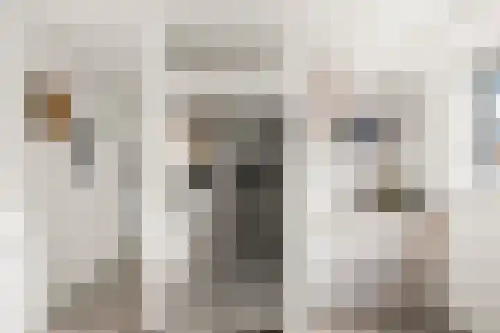 Klaterbos 10 Hoofddorp thumbnail 13