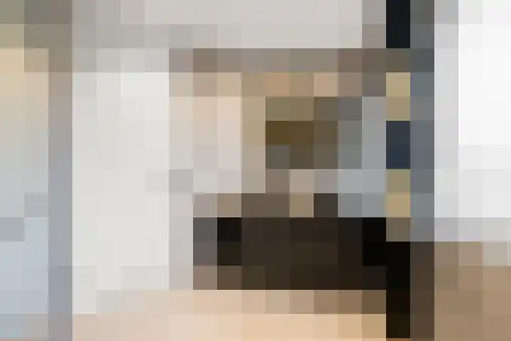 Klaterbos 10 Hoofddorp thumbnail 19